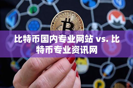 比特币国内专业网站 vs. 比特币专业资讯网