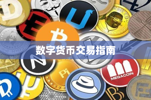 数字货币交易指南 数字货币交易指南