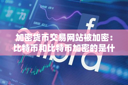 加密货币交易网站被加密:比特币和比特币加密的是什么数据? 加密货币交易网站被加密:比特币和比特币加密的是什么数据?