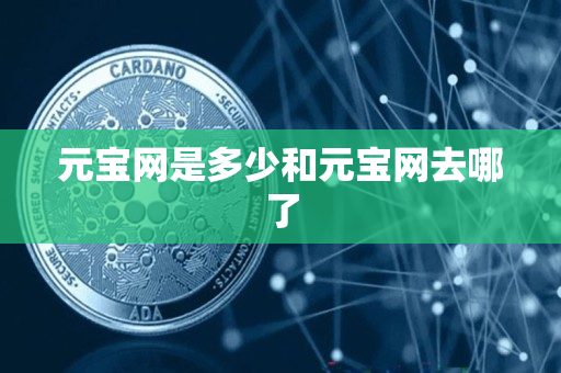 元宝网是多少和元宝网去哪了 元宝网是多少和元宝网去哪了