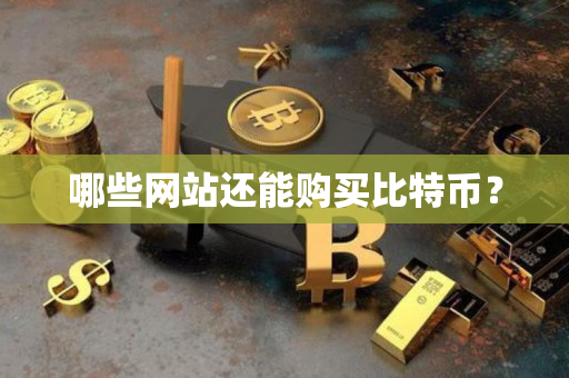 哪些网站还能购买比特币? 哪些网站还能购买比特币?