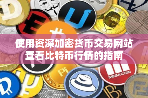 使用资深加密货币交易网站查看比特币行情的指南