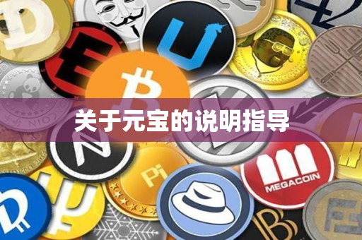 关于元宝的说明指导 关于元宝的说明指导