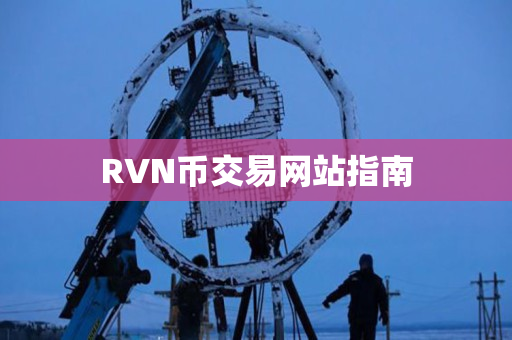RVN币交易网站指南