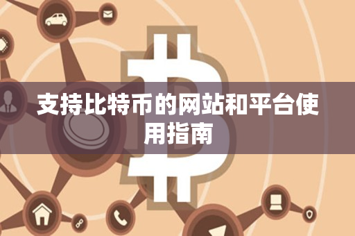 支持比特币的网站和平台使用指南 支持比特币的网站和平台使用指南