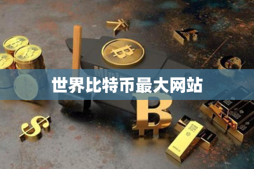 世界比特币最大网站 世界比特币最大网站