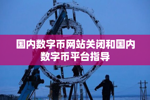 国内数字币网站关闭和国内数字币平台指导 国内数字币网站关闭和国内数字币平台指导