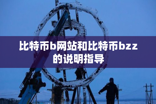 比特币b网站和比特币bzz的说明指导 比特币b网站和比特币bzz的说明指导