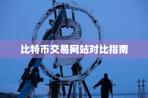 比特币交易网站对比指南