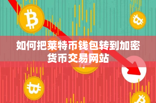 如何把莱特币钱包转到加密货币交易网站