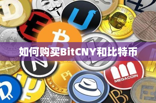 如何购买BitCNY和比特币