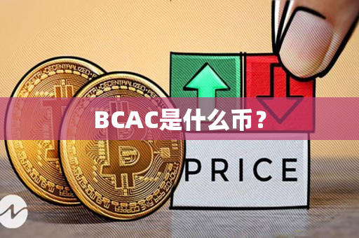 BCAC是什么币？