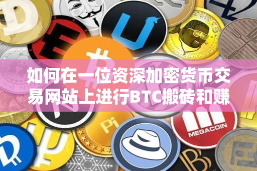 如何在一位资深加密货币交易网站上进行BTC搬砖和赚取BTC