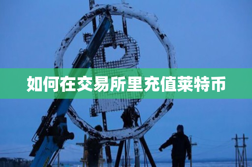 如何在交易所里充值莱特币 如何在交易所里充值莱特币