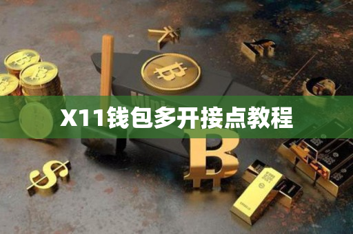 X11钱包多开接点教程
