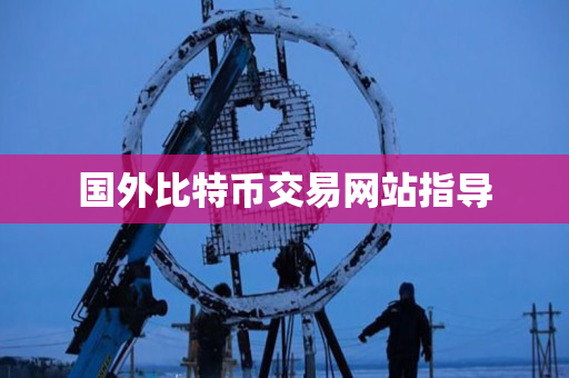 国外比特币交易网站指导 国外比特币交易网站指导