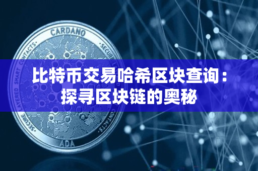 比特币交易哈希区块查询：探寻区块链的奥秘