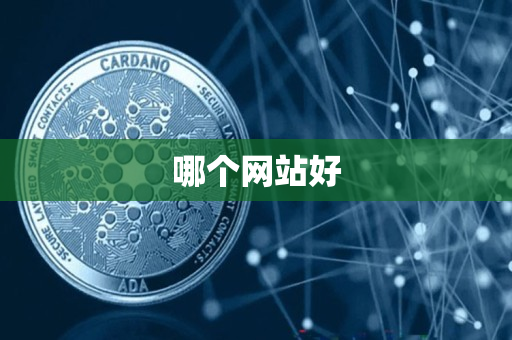 哪个网站好 哪个网站好