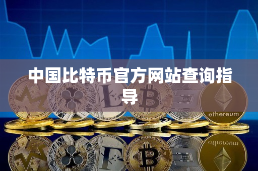 中国比特币官方网站查询指导