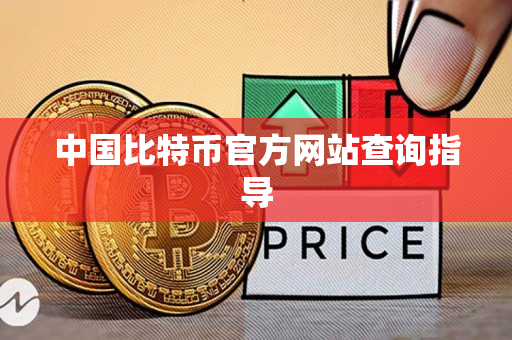 中国比特币官方网站查询指导 中国比特币官方网站查询指导