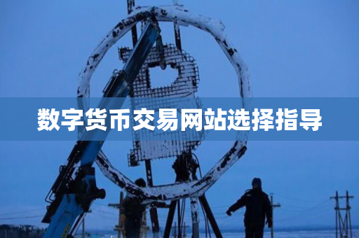 数字货币交易网站选择指导 数字货币交易网站选择指导
