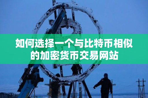 如何选择一个与比特币相似的加密货币交易网站 如何选择一个与比特币相似的加密货币交易网站