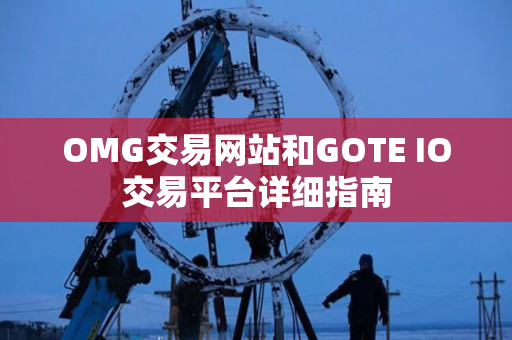 OMG交易网站和GOTE IO交易平台详细指南