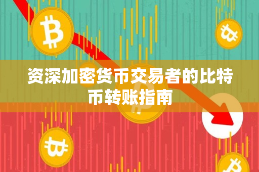 资深加密货币交易者的比特币转账指南 资深加密货币交易者的比特币转账指南