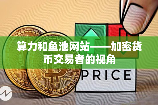 算力和鱼池网站——加密货币交易者的视角