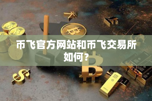 币飞官方网站和币飞交易所如何？