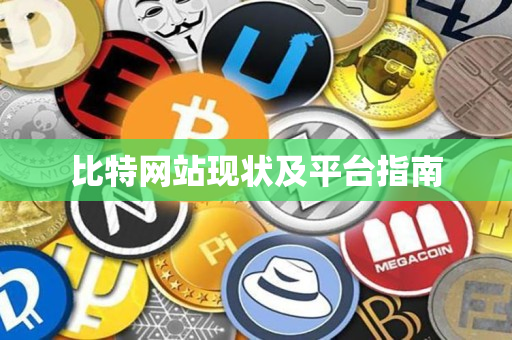 比特网站现状及平台指南 比特网站现状及平台指南
