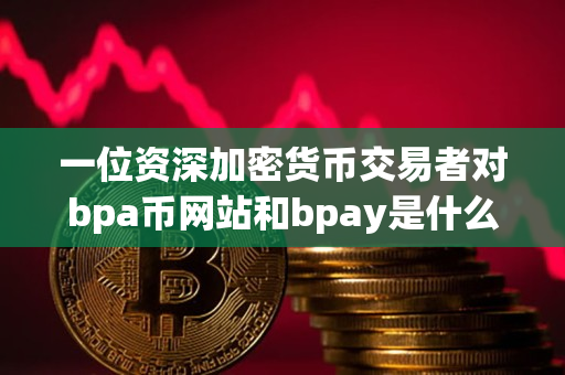 一位资深加密货币交易者对bpa币网站和bpay是什么币的说明