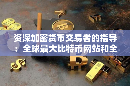 资深加密货币交易者的指导:全球最大比特币网站和全球最大比特币网站是多少? 资深加密货币交易者的指导:全球最大比特币网站和全球最大比特币网站是多少?