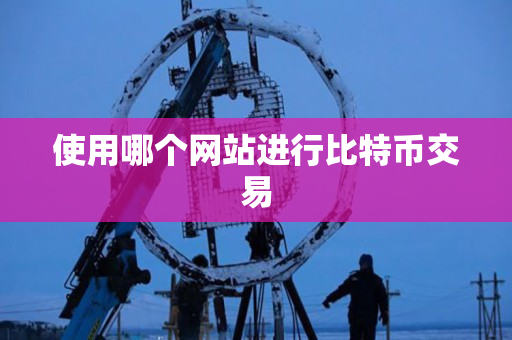 使用哪个网站进行比特币交易 使用哪个网站进行比特币交易