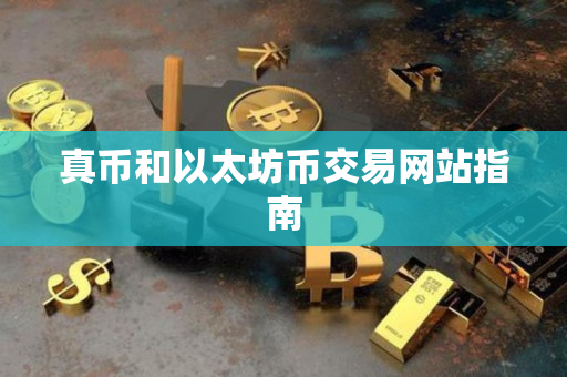 真币和以太坊币交易网站指南