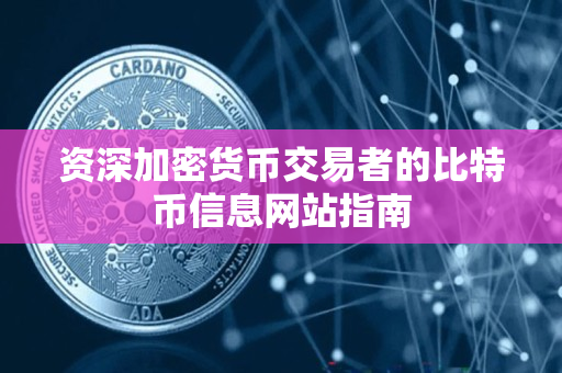 资深加密货币交易者的比特币信息网站指南