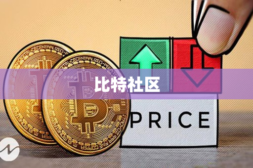 比特社区