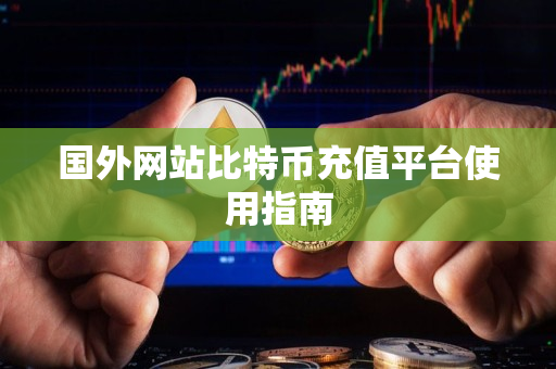 国外网站比特币充值平台使用指南 国外网站比特币充值平台使用指南