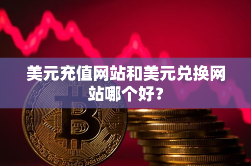 美元充值网站和美元兑换网站哪个好? 美元充值网站和美元兑换网站哪个好?