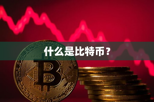什么是比特币? 什么是比特币?