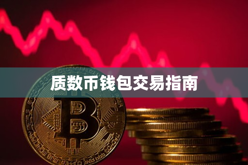 质数币钱包交易指南