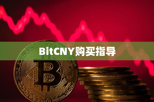 BitCNY购买指导 BitCNY购买指导