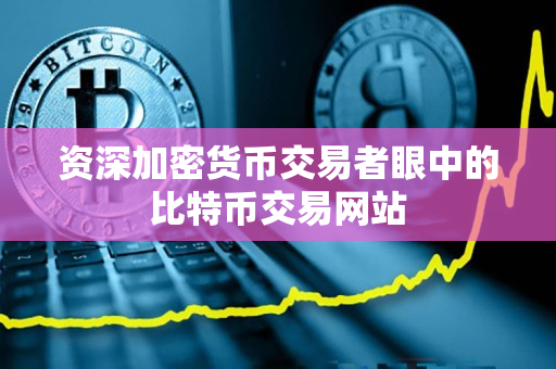 资深加密货币交易者眼中的比特币交易网站 资深加密货币交易者眼中的比特币交易网站