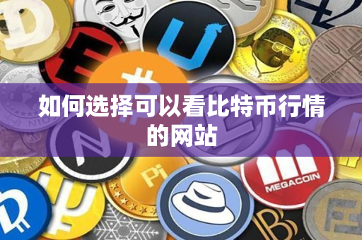 如何选择可以看比特币行情的网站 如何选择可以看比特币行情的网站