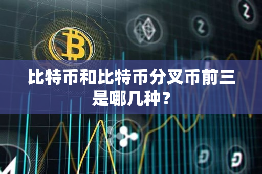 比特币和比特币分叉币前三是哪几种? 比特币和比特币分叉币前三是哪几种?