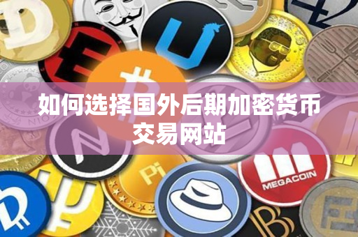 如何选择国外后期加密货币交易网站 如何选择国外后期加密货币交易网站