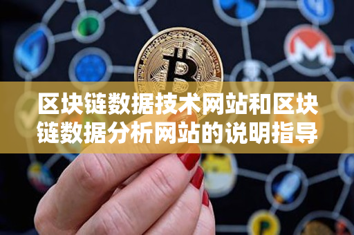 区块链数据技术网站和区块链数据分析网站的说明指导 区块链数据技术网站和区块链数据分析网站的说明指导