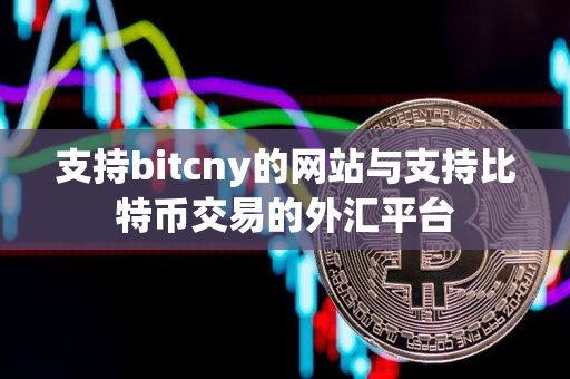 支持bitcny的网站与支持比特币交易的外汇平台