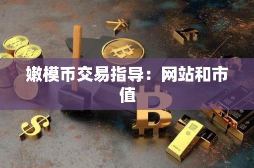 嫩模币交易指导:网站和市值 嫩模币交易指导:网站和市值